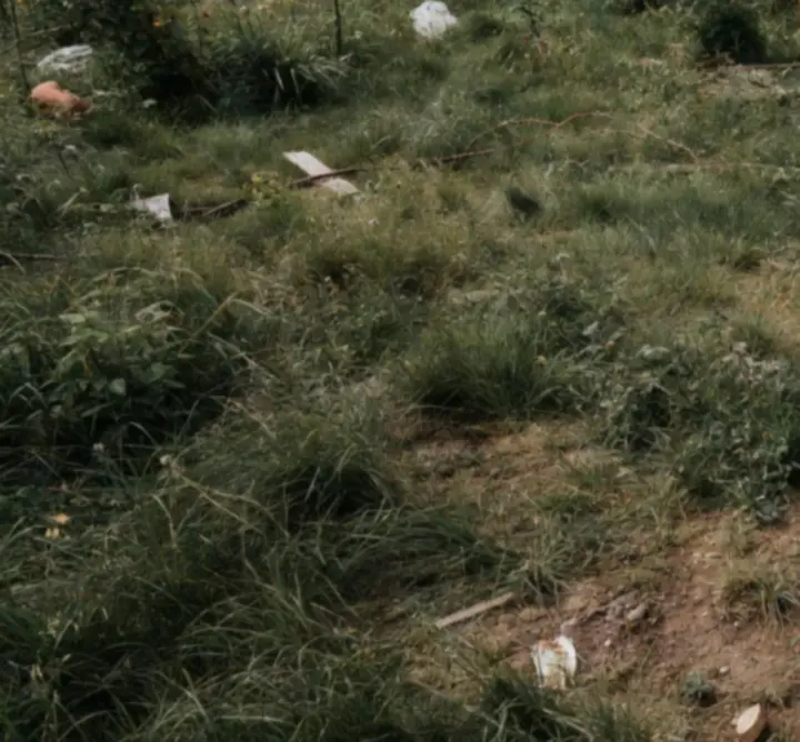 Ogród przed transformacją - zaniedbana przestrzeń z chwastami i uszkodzoną nawierzchnią